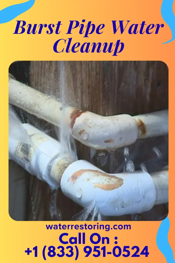 Burst Pipe Water Cleanup in Mentor-on-the-Lake, OH
