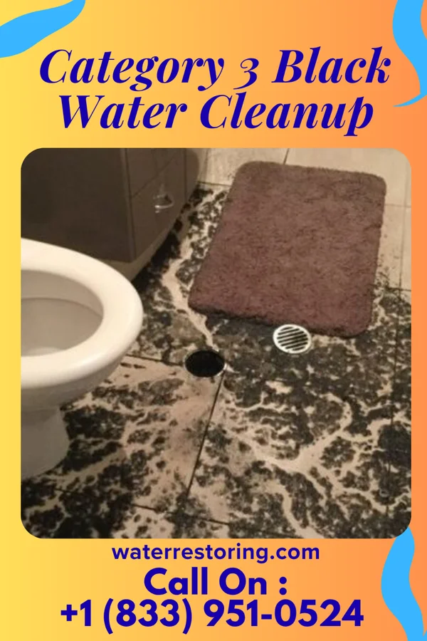 Category 3 Black Water Cleanup in Mentor-on-the-Lake, OH