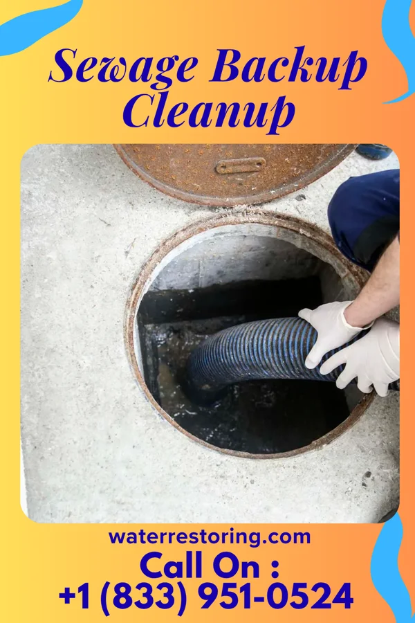 Sewage Backup Cleanup in Mentor-on-the-Lake, OH